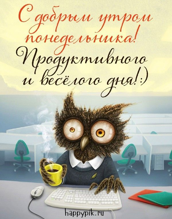 Открытка «С добрым утром»: С добрым утром понедельника! Сова и кофе. Тэги: животное, пожелание, позитивная, отличное…