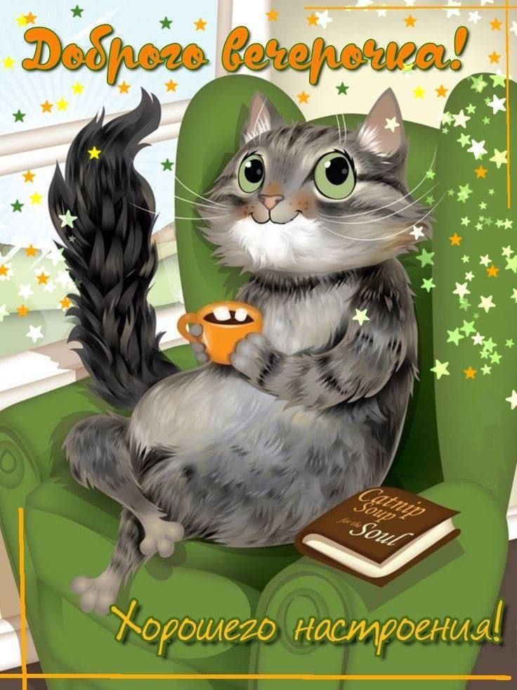 Открытка «С добрым утром»: Доброе утро с пушистым другом!. Тэги: кот, животное, пожелание, позитивная, хорошего дня…