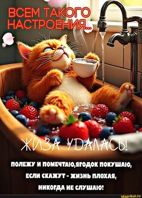 Открытка «С добрым утром»: С добрым утром: кот, ягоды и идеальный релакс. Тэги: кот, животное, пожелание, отличное на…