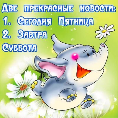 Открытка «С добрым утром»: С добрым утром пятницы! Прекрасные новости!. Тэги: животное, пожелание, позитивная, отличн…