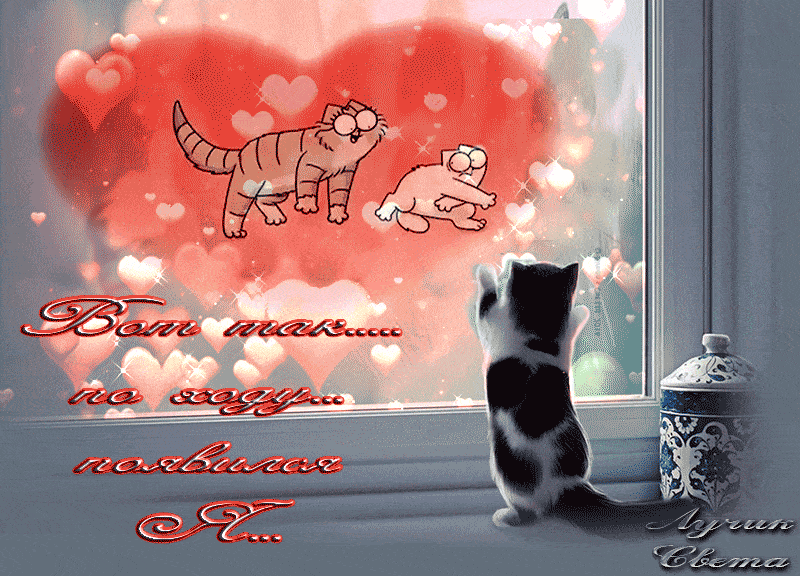 Открытка «С добрым утром»: С добрым утром: котёнок, любовь и нежность. Тэги: кот, животное, пожелание, утро, друг…