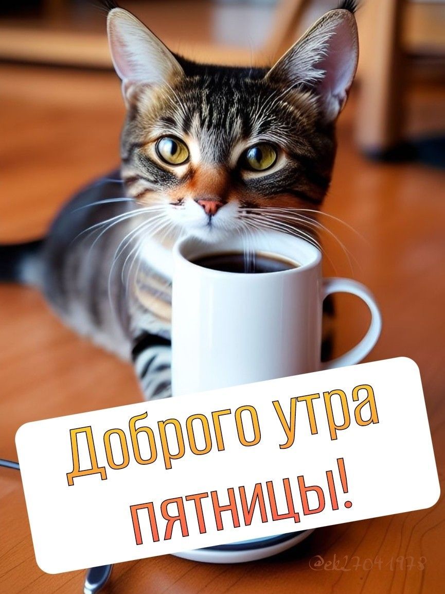 Открытка «С добрым утром»: Доброе утро пятницы с милым котом и кофе!. Тэги: кот, животное, пожелание, позитивная, утро…
