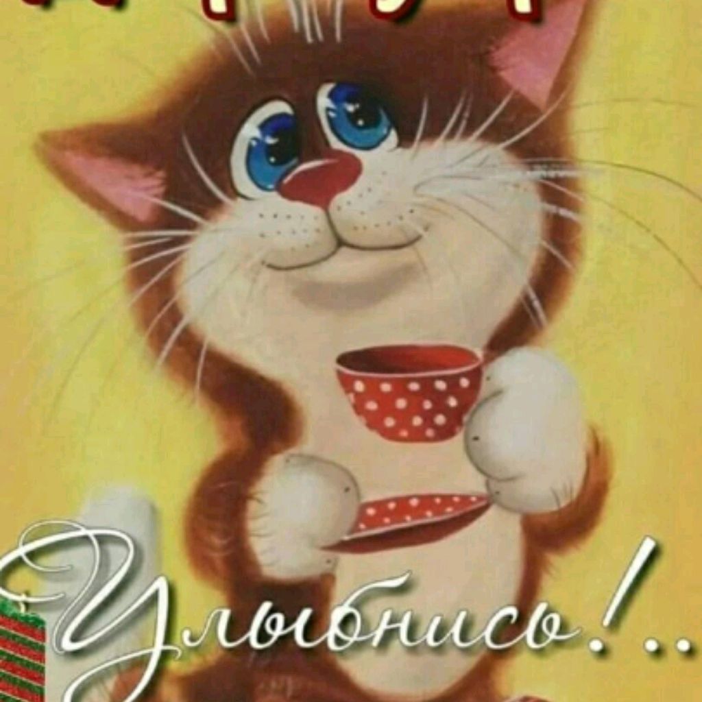 Открытка «С добрым утром»: С добрым утром! Милый кот зовет улыбнуться!. Тэги: кот, животное, пожелание, хорошего дня…