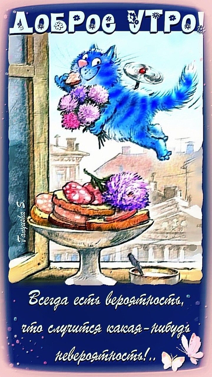 Открытка «С добрым утром»: Доброе утро: Кот, цветы и невероятности для улыбки!. Тэги: кот, животное, пожелание, юмор…
