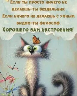 Открытка «С добрым утром»: С добрым утром: философский кот и отличное настроение!. Тэги: кот, животное, пожелание…