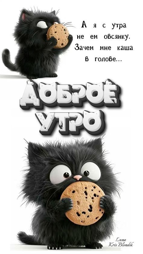 Открытка «С добрым утром»: С добрым утром! Без каши в голове, только печенька. Тэги: кот, животное, пожелание, позити…
