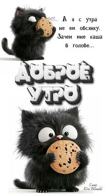 Открытка «С добрым утром»: С добрым утром! Без каши в голове, только печенька. Тэги: кот, животное, пожелание, позити…