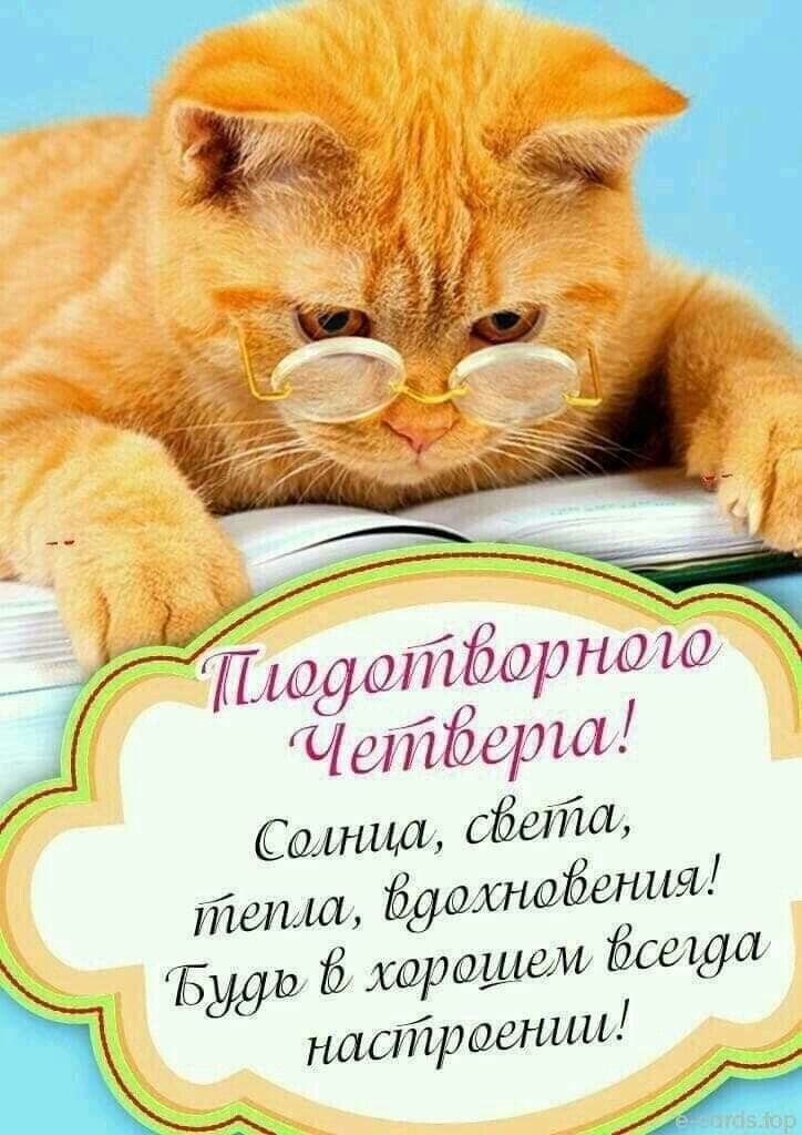 Открытка «С добрым утром»: С добрым утром четверга! Рыжий кот в очках желает позитива. Тэги: кот, животное, пожелание…