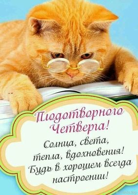 Открытка «С добрым утром»: С добрым утром четверга! Рыжий кот в очках желает позитива. Тэги: кот, животное, пожелание…