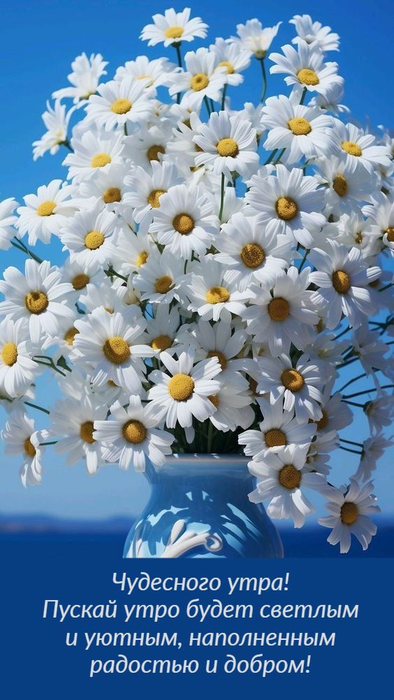 Открытка «С добрым утром»: Яркие ромашки для чудесного доброго утра!. Тэги: пожелание, позитивная, хорошего дня…