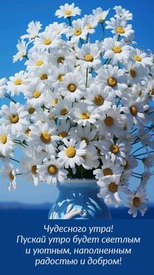 Открытка «С добрым утром»: Яркие ромашки для чудесного доброго утра!. Тэги: пожелание, позитивная, хорошего дня…