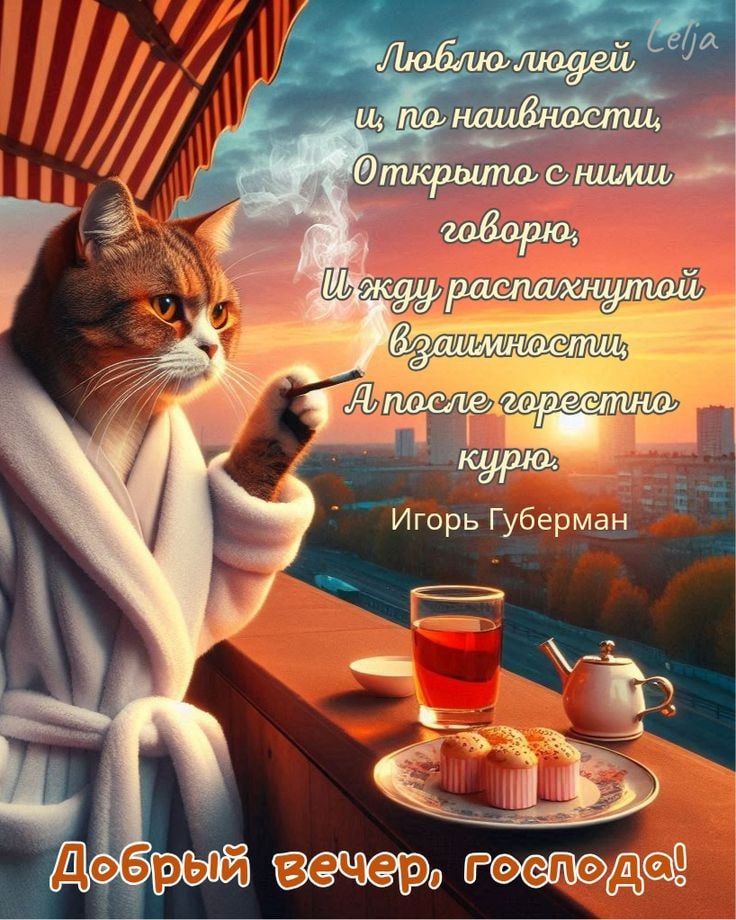 Открытка «С добрым утром»: С добрым утром! Кот-философ на балконе. Тэги: кот, животное, пожелание, позитивная, юмор…