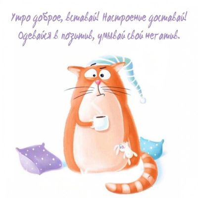 Открытка «С добрым утром»: Кот зовет проснуться: доброе утро и позитив!. Тэги: кот, животное, пожелание, позитивная…