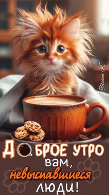 Открытка «С добрым утром»: Доброе утро с рыжим котиком и кофе. Тэги: кот, животное, пожелание, позитивная, юмор…