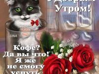 Открытка «С добрым утром»: Доброе утро! Кот, розы и смешная история про кофе. Тэги: кот, животное, пожелание, позитив…