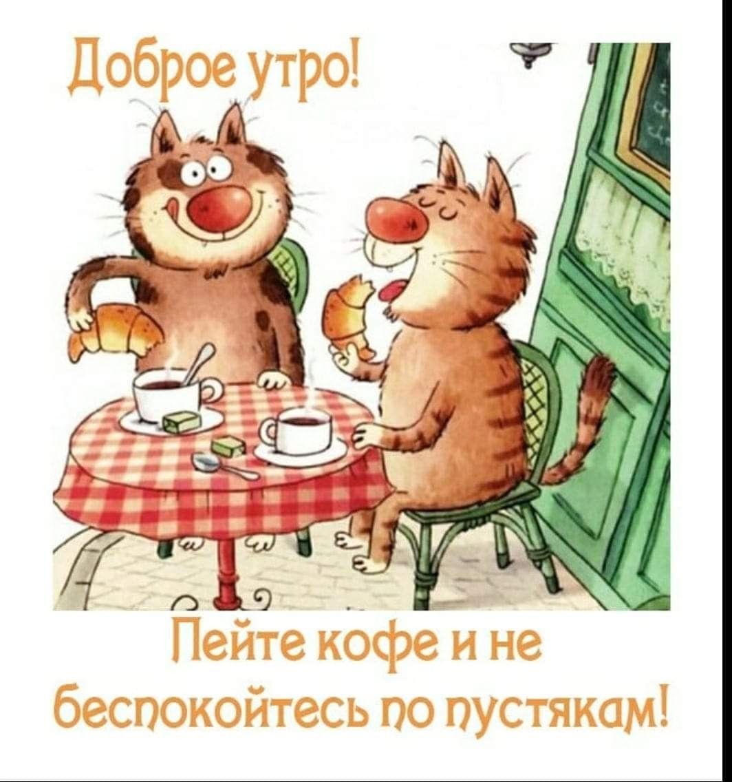 Открытка «С добрым утром»: С добрым утром: кофе, котики и никаких тревог!. Тэги: кот, пожелание, позитивная, хорошего…