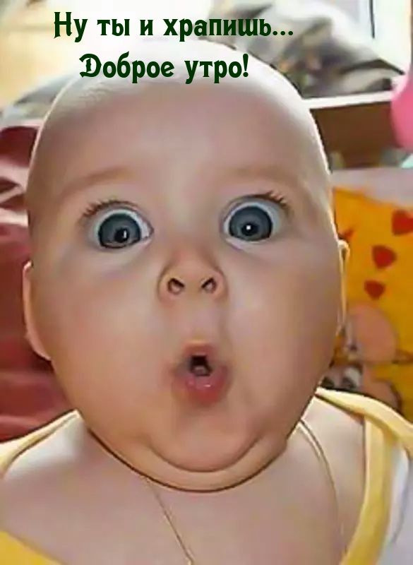 Открытка «С добрым утром»: Доброе утро! Ну ты и хранишь, соня!. Тэги: пожелание, позитивная, отличное настроение, юмор…