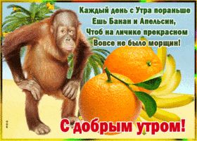 Открытка «С добрым утром»: С добрым утром: обезьяна и фрукты для красоты!. Тэги: животное, пожелание, позитивная…