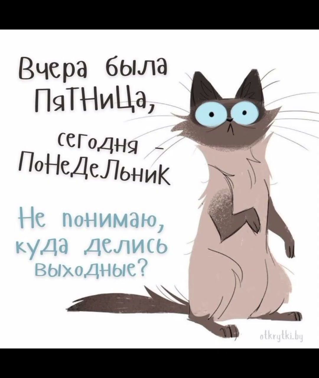 Открытка «С добрым утром»: Кот и понедельник: куда делись выходные?. Тэги: кот, животное, пожелание, юмор, утро…