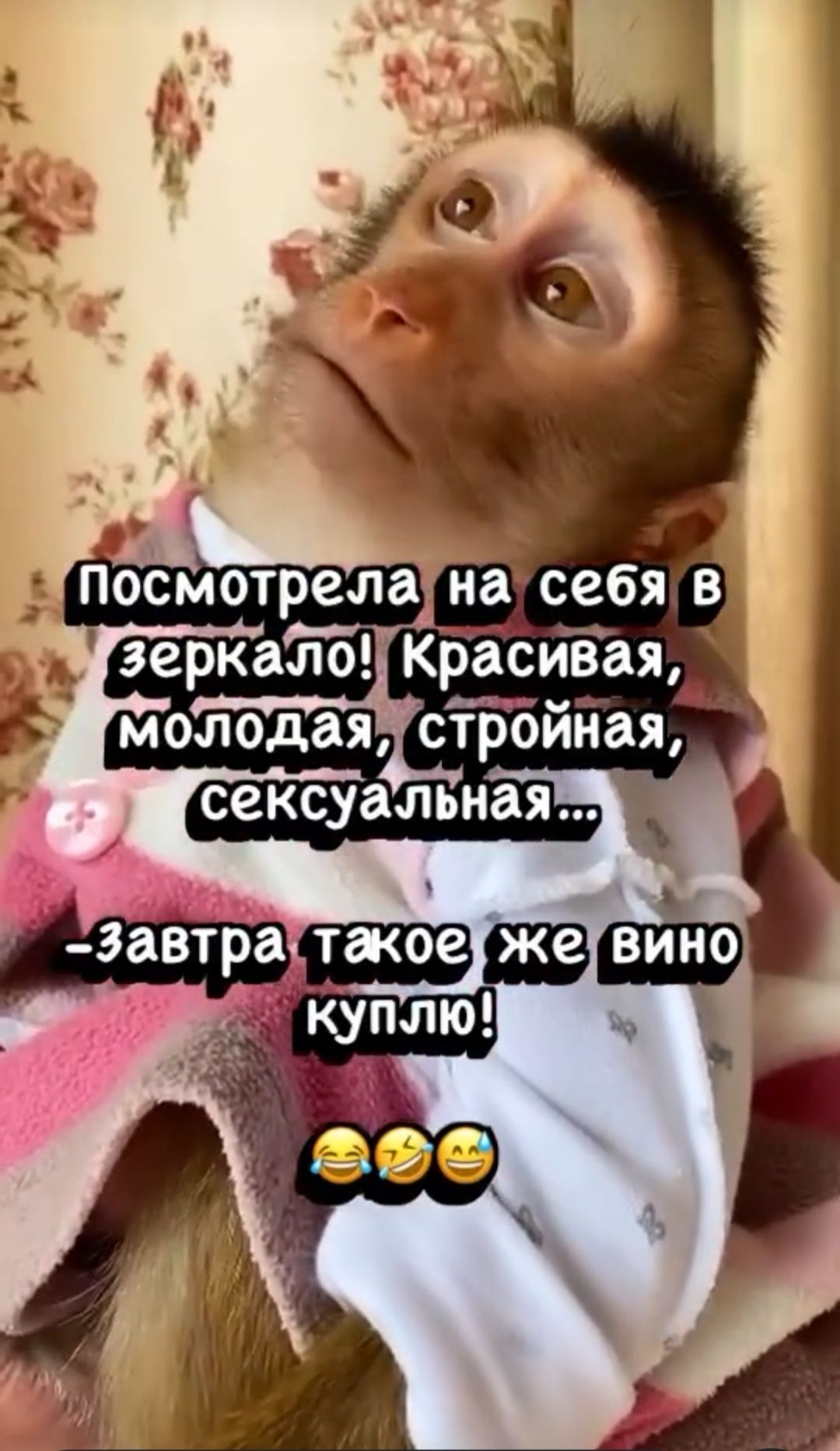 Открытка «С добрым утром»: С добрым утром! Зеркало, вино и юмор. Тэги: животное, пожелание, позитивная, отличное наст…