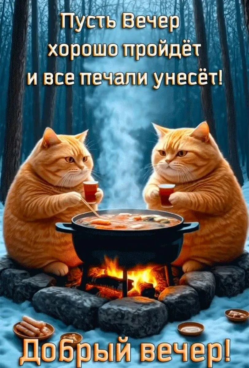 Открытка «С добрым утром»: Добрый вечер с пушистыми друзьями у костра. Тэги: кот, животное, пожелание, позитивная…