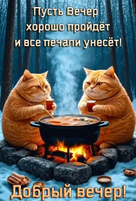 Открытка «С добрым утром»: Добрый вечер с пушистыми друзьями у костра. Тэги: кот, животное, пожелание, позитивная…