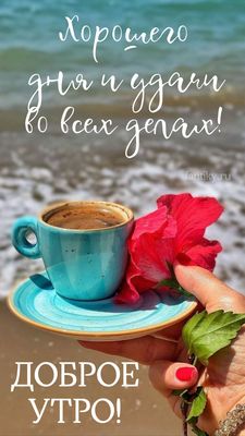Открытка «С добрым утром»: Яркое доброе утро с кофе и цветком у моря. Тэги: пожелание, позитивная, хорошего дня…