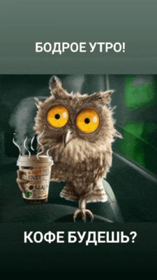 Открытка «С добрым утром»: Бодрое утро! Сова и ароматный кофе.. Тэги: животное, пожелание, позитивная, юмор, прикольн…