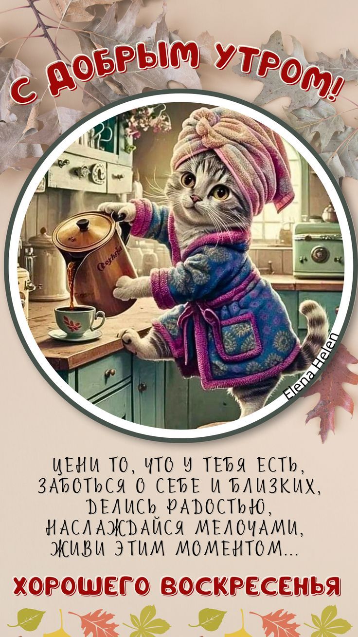 Открытка «С добрым утром»: Котик и кофе: доброе утро и прекрасное воскресенье. Тэги: кот, животное, пожелание, позити…