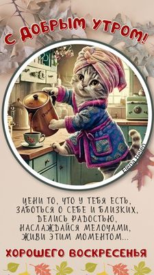 Открытка «С добрым утром»: Котик и кофе: доброе утро и прекрасное воскресенье. Тэги: кот, животное, пожелание, позити…