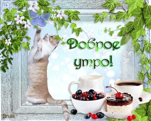 Открытка «С добрым утром»: Нежное утро: котик, бабочка и вкусный завтрак. Тэги: кот, животное, пожелание, позитивная…