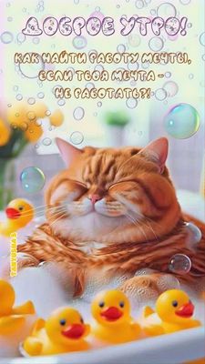 Открытка «С добрым утром»: Доброе утро: мечтаешь не работать?. Тэги: кот, животное, пожелание, позитивная, юмор…