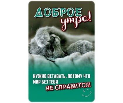 Открытка «С добрым утром»: С добрым утром! Мир без тебя не справится!. Тэги: кот, животное, пожелание, позитивная…