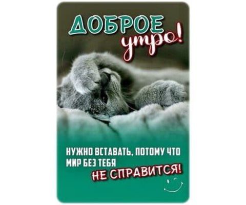 Открытка «С добрым утром»: С добрым утром! Мир без тебя не справится!. Тэги: кот, животное, пожелание, позитивная…
