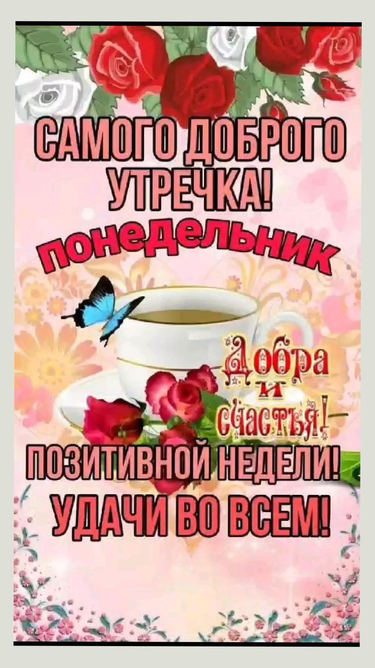 Открытка «С добрым утром»: Доброе утро понедельника: позитивной недели и удачи!. Тэги: животное, пожелание, отличное…