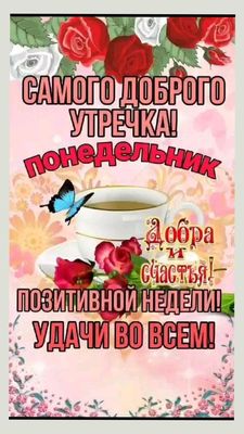 Открытка «С добрым утром»: Доброе утро понедельника: позитивной недели и удачи!. Тэги: животное, пожелание, отличное…