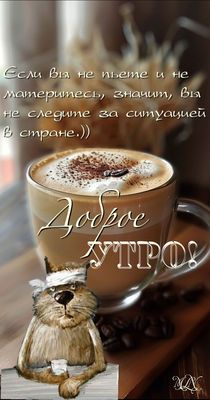 Открытка «С добрым утром»: С добрым утром: прикольный кот, кофе и юмор. Тэги: кот, животное, пожелание, позитивная…