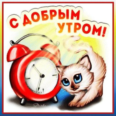 Открытка «С добрым утром»: Пушистое доброе утро с милым котёнком. Тэги: кот, животное, пожелание, позитивная, отлично…