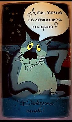 Открытка «С добрым утром»: С добрым утром! Котик и важный вопрос. Тэги: кот, животное, пожелание, позитивная, отлично…