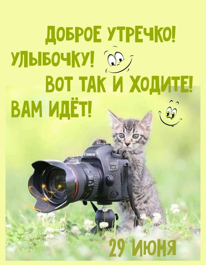 Открытка «С добрым утром»: Доброе утречко! Улыбка очень вам идет!. Тэги: кот, животное, пожелание, отличное настроение…