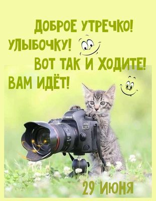 Открытка «С добрым утром»: Доброе утречко! Улыбка очень вам идет!. Тэги: кот, животное, пожелание, отличное настроение…