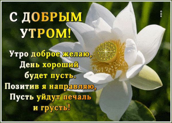 Открытка «С добрым утром»: С добрым утром: нежный лотос и позитив. Тэги: пожелание, позитивная, отличное настроение…