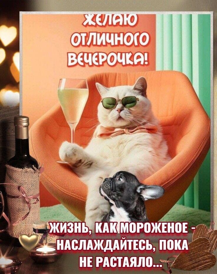 Открытка «С добрым утром»: Отличного вечера: жизнь как мороженое, наслаждайся!. Тэги: кот, животное, пожелание…