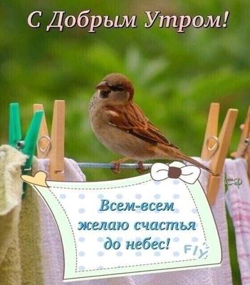 Открытка «С добрым утром»: С добрым утром! Воробушек желает счастья до небес. Тэги: животное, пожелание, позитивная…