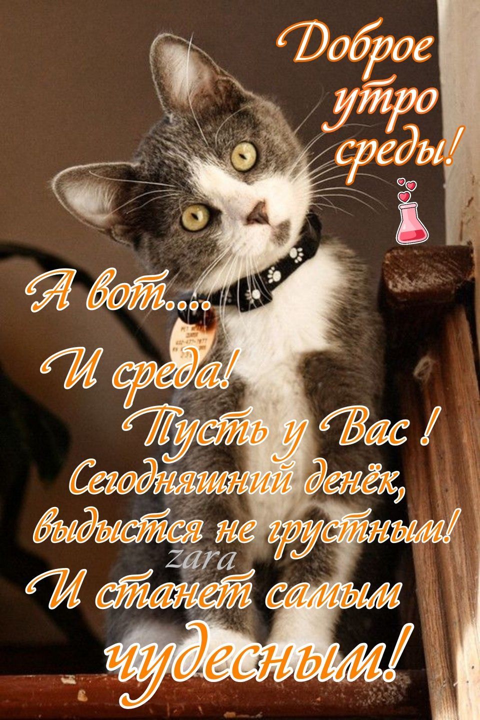 Открытка «С добрым утром»: Чудесное утро среды с котёнком и добрым пожеланием. Тэги: кот, животное, пожелание, позити…