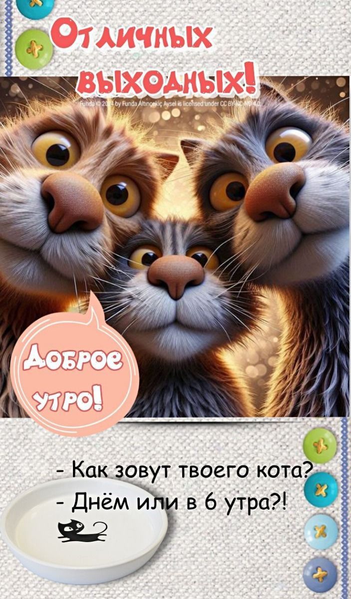 Открытка «С добрым утром»: Доброе утро с котами: смешной старт выходных!. Тэги: кот, животное, пожелание, позитивная…