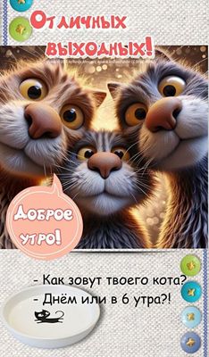 Открытка «С добрым утром»: Доброе утро с котами: смешной старт выходных!. Тэги: кот, животное, пожелание, позитивная…