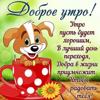 Открытка «С добрым утром»: Милый щенок желает доброго утра и хорошего дня. Тэги: животное, пожелание, позитивная…