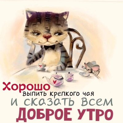 Открытка «С добрым утром»: Кот и чай: уютное доброе утро!. Тэги: кот, животное, пожелание, отличное настроение…