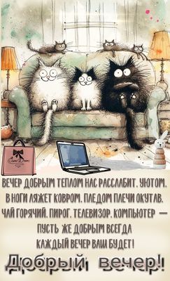 Открытка «С добрым утром»: Добрый вечер: пушистые коты, уют и пожелание. Тэги: кот, животное, пожелание, позитивная…